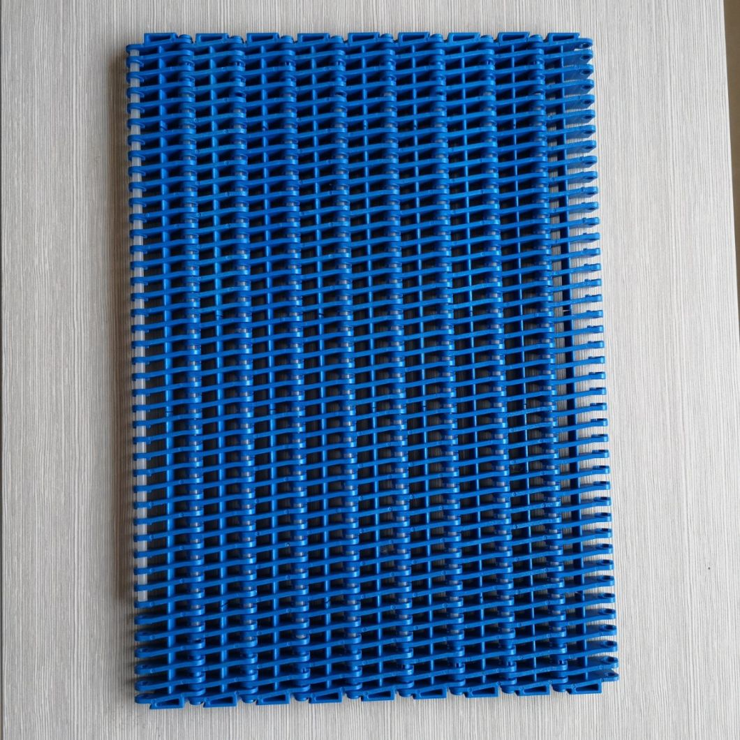 1000 Series Pitch 25.4mm Plastic Modular Conveyor Belt with Positrack
