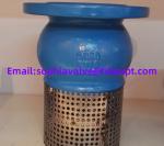 resilient seal ductile iron GGG50 PN16 foot valve