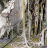Buy cheap Customized Fiberglass GRC Landscaping Fake Tree For Garden Airport from wholesalers