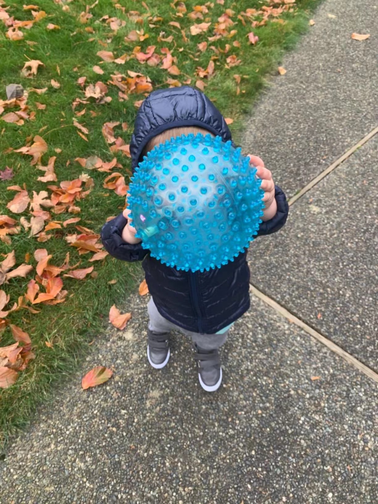 Unisex Large Value Spike Plastic Ball Customized LOGO Inflatable Sensory Ball for Babies