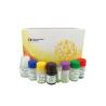 Buy cheap 96 Wells Mouse Anti-nuclear Antibody ELISA Kit High Sensitive for Research Use from wholesalers