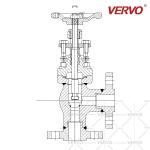 Forged Steel Globe Control Valve Stainless Steel F316 Flanged Angle