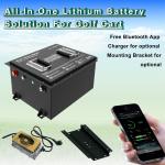 Lithium Golf Cart 36V 38.4V 80Ah LiFePO4 LFP Battery Pack