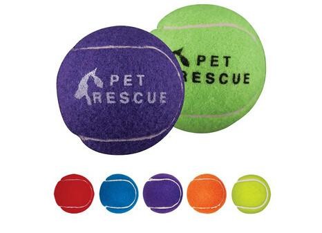 dog training tennis ball toy