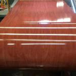 Color Coated PPGI Prepainted Galvanized Steel Coil Z275 Z350 Red Blue Green