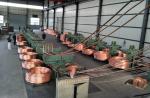 Auto Upward Continuous Casting Machine Copper Brass Aluminum Tube Billet Wire