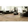 Buy cheap Non Slip Cement Look Porcelain Tile Absorption Rate Less Than 0.05% from wholesalers