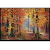Buy cheap 25ms 10.1" Industrial LCD Display , 1280x800 40 Pin TFT Display from wholesalers