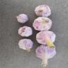 Buy cheap Natural China Fresh garlic Pure White normal white garlic from wholesalers