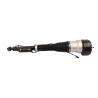 Buy cheap A2213205613 A2213205813 High Quality Rear Air Suspension Shock Absorbers Gas Strut For Mercedes Benz S Class W221 from wholesalers