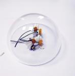 43mm Optical Glass Lens For Underwater Photography , 1.5 To 300mm Half Ball