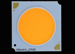 Wholesale 2700K Square COB LED Light Source 13.5x13.5mm High Brightness from china suppliers