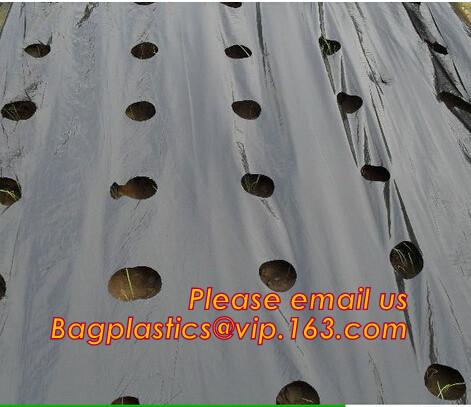 Buy cheap Perforated plastic mulch film save drilling troubles,perforated agricultural plastic mulch film,perforated white/black m from wholesalers