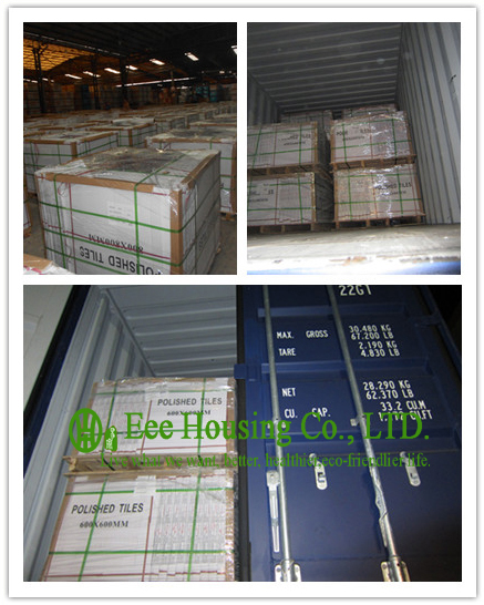 Black Color Polished Porcelain Tile For Floor And Wall, 600mm * 600mm Black polished tile