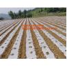 Buy cheap GARDEN GREENHOUSE AGRICULTURAL PLASTIC MULCH FILM, 100% PP/PE Woven Agriculture Ground Cover/Mulch Film/Weed Mat, FILM from wholesalers