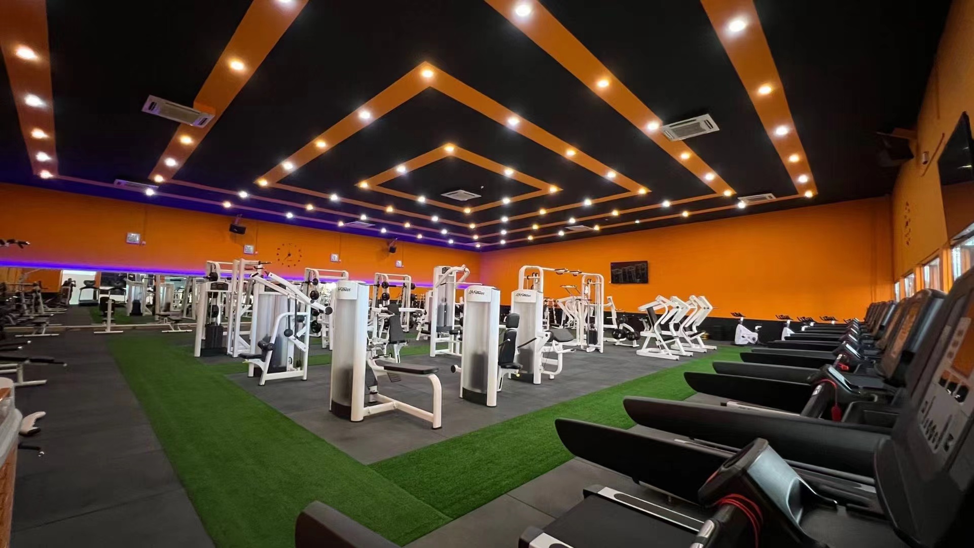 Commercial Gym Unisex Free Weight Training With Diverse Material