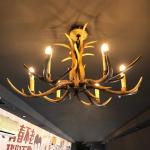Deer horn chandelier for Coffee Shop Bedroom Living room Lighting Fixtures (WH