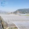 Buy cheap Gotica Personalizzata 150 Micron Pe Film Strawberry Growing Greenhouse Gothic from wholesalers