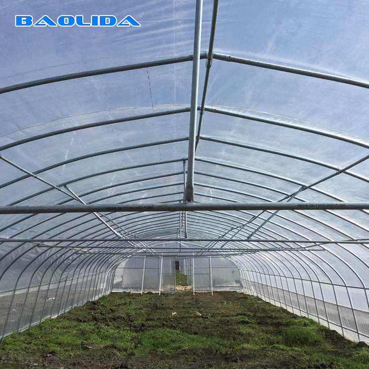 Arch Spacing 1.33m Polyethylene Film Greenhouse For Vegetable Cultivation