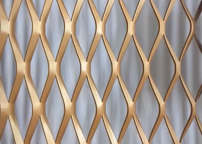 Low Carbon Galvanized Sheet Expanded Wire Mesh For Protection