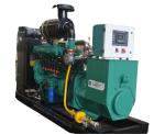 Biogas Generator for Biogas Plant Power Generation