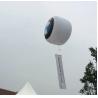 Buy cheap Outdoor Advertising Carton Custom Logo Size Large Inflatable Helium Balloon Balls from wholesalers