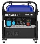Industrial-purposed Portable Rated 200A /250A Gasoline MMA/Cellulose/TIG Welding