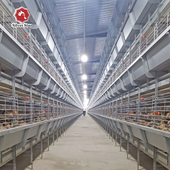Full Automatic Hot Dipped Broiler Chicken Cage H Type