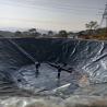 Buy cheap Eco-Friendly Geomembrane for Fish Pond 0.5mm Thickness from Length 50-200m / Roll from wholesalers