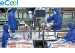Super Low Temperature Frozen Food Cold Warehouse For Tuna Storage