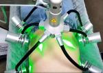 Fat Loss Machine Sale Green Color Laser Weight Loss Lipo Laser 532nm Cold 6d