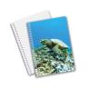 Buy cheap Hot Selling School Stationery 3D Lenticular Printing Diary Notebook for Souvenir from wholesalers