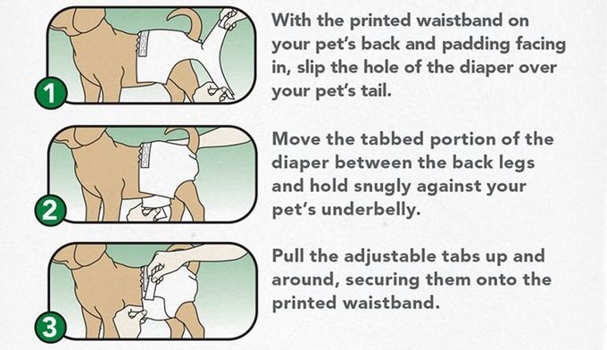 High Absorbent Disposable Pet Diapers 28*34cm Waterproof Soft Breathable