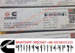 3926117 3922913 3802485 3926120 Cummins Fuel Injectors For 6CT8.3