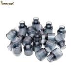 Wholesale Beekeeping Tools Apiculture Plastic Queen Bee Cell Cups For Beekeeping
