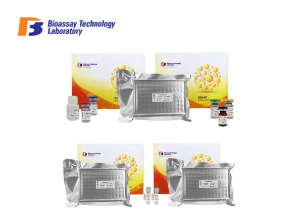 2 Hours Assay Time CATHL1 ELISA Assay Kit / Human Cathelicidin-1 Sandwich ELISA