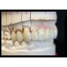Buy cheap Strength Natural Esthetics Solid Zirconia Crown Perfect Fit for Single or Multiple Teeth from wholesalers
