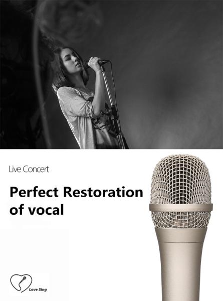 Buy cheap All Metal Studio Condenser Microphone 20mm*166mm Youtube Singing Microphone from wholesalers