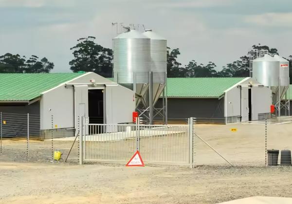 Buy cheap Easy Install Prefabricated Steel Frame Houses Fully Automated Chicken Farming Equipment from wholesalers