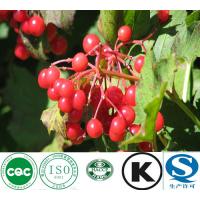 Buy cheap Natural Factory Supply Cranberry Extract product