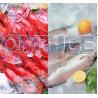 Buy cheap 1000kg Capacity Flake Ice Maker Machine Stainless Steel 316 18HP Compressor from wholesalers