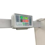 low cost temperature measurement walk through metal detector