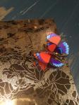 High Quality SS 202 Stainless Steel Sheet Of Etching For Indian Clients
