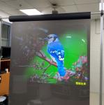 Convinent Self adhesive 500/1 transparent projection screen film Roll for