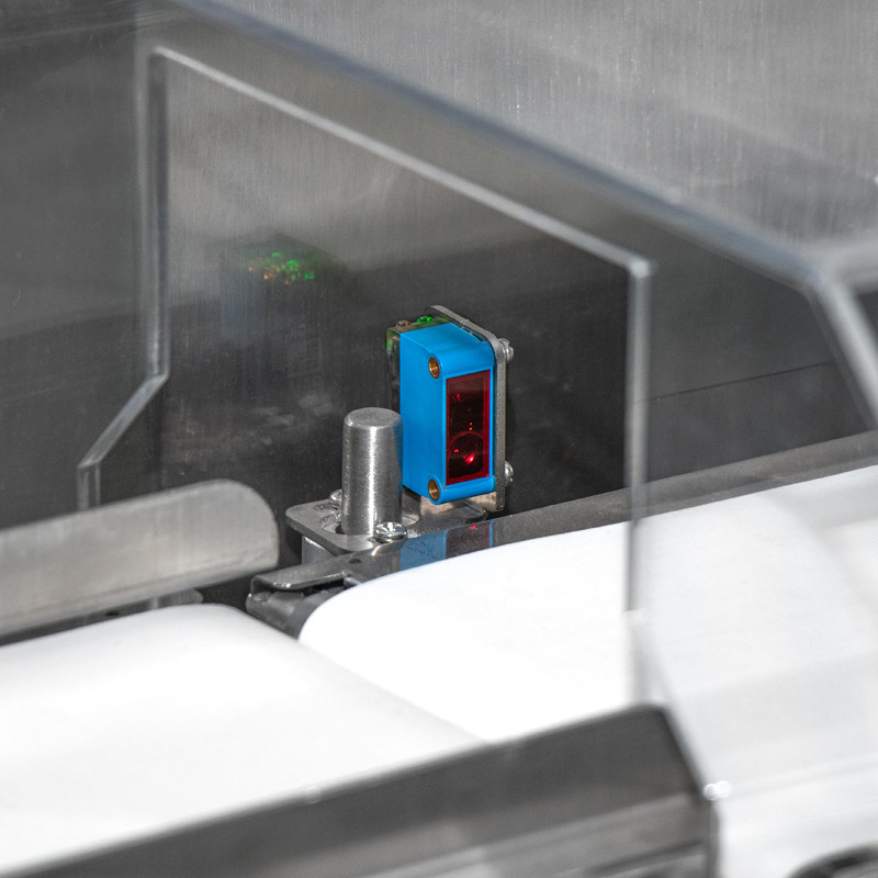 Conveyor Weight Checker with 10-3000g Weight Range and 0.1g Mini Scale