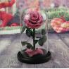 Buy cheap Real Natural Fresh Big Rose Preserved Flower Preserved Everlasting Real Roses in Glass Dome for Sale from wholesalers