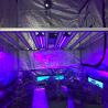 Buy cheap Supplemental 30W UV 365nm 385nm 395nm lED grow light bar For Flowering Stage THC Enhancement from wholesalers