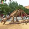Buy cheap Road Decoration Dinosaur Triceratops Skeleton from wholesalers
