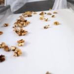 Stainless Steel Food Grade Walnut Shelling Machine 380V 2 Tons Output