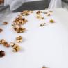 Buy cheap Stainless Steel Food Grade Walnut Shelling Machine 380V 2 Tons Output from wholesalers